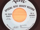 THE MAGIC PLANTS - I'M A NOTHING / I KNOW SHE'S WAITING THERE - ROCK 45 *HEAR*