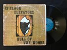 13th Floor Elevators 