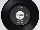 Rare Buzzsaw Heavy Fuzz Country Rocker Garage 45 BUDDY LANE River Rat W.N. hear