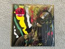 Vinyl 12