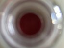 TaySwiCASE, BilEil7”, BastAmp4, SofCel, LeoBriSIG LPs Inc P&p