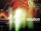 Incubus – Make Yourself - 2 x LP Vinyl Records 12