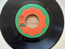 Freddie Mcgregor - Rastaman Camp 7” RARE Roots Original
