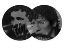 MINT SEALED - Twenty One Pilots Breach RAWFEAR Picture Disc with Poster