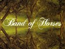 Band Of Horses Everything All The Time +INSERT NEAR MINT Sub Pop Vinyl LP