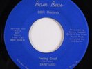 70s Soul/Funk 45 SANTIAGO Feeling Good BAM BUU HEAR d