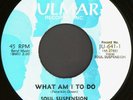 SOUL SUSPENSION What Am I To Do 45 Julmar Rare NYC Sweet Soul M-
