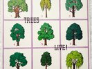 TREES - LIVE (original Habla label issue) from Italy