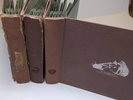 x3 Antique Vtg Victor His Master's Voice 78 RPM 10