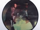STEVIE RAY VAUGHAN Couldn't Stand The Weather EPIC LP picture disc z