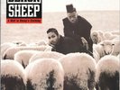 Black Sheep - A Wolf In Sheep's Clothing (LP, Album)