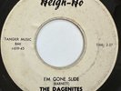 The Dagenites 45 I'm Gone Slide/Now That Summer's Gone HEIGH HO garage LISTEN