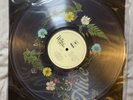 Wolf Alice - The Clearing Flower Filled Vinyl With Booklet & Poster