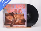 Guns N' Roses Nightrain 12