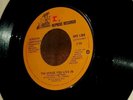Wreck Of The Edmund Fitzgerald - Gordon Lightfoot (45 Rpm 1976 Reprise) Rare