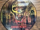 Slayer Seasons In The Abyss Picture Disc LP 2006 DEF 24307-P Thrash Metal