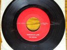 Novas AIP 1256 Suburban Life \ I'd Wait a Million Years VG+ 45 RPM Garage Band