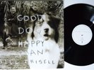 BILL FRISELL Good Dog Happy Man NONESUCH 2xLP NM/VG++ gatefold 1st country blues