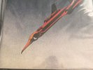 Budgie Squawk LP Noteworthy Vinyl  EX