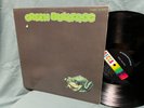 Green Bullfrog  