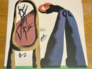 SIGNED The Story So Far - I Want To Disappear Exclusive Color LP Autographed