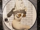 Blondie Rare Ltd. Private Stock PICTURE DISC On The Road w/ Blondie EX++/NM