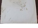 The Beatles White Album Import Holland Apple Label YEX-709 & Poster & Photos