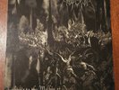 Emperor - Anthems to the Welkin at Dusk 12