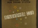 TWILIGHT CIRCUS DUB SOUNDSYSTEM: binshaker dub M 12