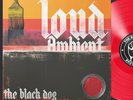 The Black Dog - Loud Ambient (12
