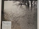 Bon Iver - For Emma Forever Ago [New Vinyl LP]