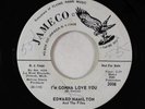 Northern Soul 45 - Edward Hamilton & Fifes - I'm Gonna Love You - Jameco VG+
