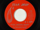 Northern Soul 45 - Brothers In-Law - Hush Broken Heart - Tear Drop VG++ obscure