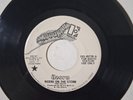 45 RPM The Doors Riders on the Storm PROMO Electra VG