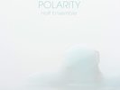 Hoff Ensemble POLARITY - an acoustic jazz project (Vinyl)