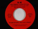 Black Gospel Funk 45 - Mighty Voices Of Joy - Stand Up - RM - obscure