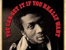 Jimmy Cliff - You can get it if you really want-Double LP Import- NEW & SEALED