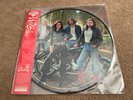 Wolf Alice - The Clearing - LP Picture Disc (2025) *NEW* Seam Split on PVC cover
