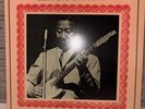 Muddy Waters Rare And Unissued Vinyl LP 1984 MCA Records Chicago Blues Vintage