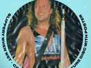 PICTURE DISC Bon Jovi Slippery When Wet PICTURE DISK Vertigo