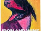 Iron And Wine The Shepherds Dog INCL. INSERT NEAR MINT Sub Pop Vinyl LP