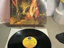 Echo And The Bunnymen CROCODILES Original 1980 Sire Vinyl Post Punk A6