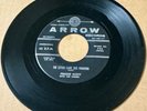 Freddie Scott & Chimes DOO WOP 45 Please Call / The Letter Came ARROW Mint- HEAR
