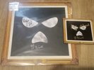 Kneecap - Fine Art, Tri-Colour LP,  Vinyl & CD Signed.