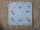 Pleasure Joyous [LP] Records & LPs