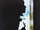 Paul Weller - Wild Wood (LP) (1993 1st Pressing) (VG/VG)