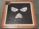 KNEECAP - FINE ART HAND SIGNED TRICOLOUR LP VINYL RECORD NEW & UNPLAYED