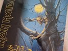 Fear of the Dark by Iron Maiden (Record, 2017)