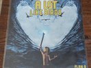 A Lot Like Birds – Plan B - 2018 - 