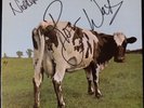 Pink Floyd Atom HM French blue vinyl press signed by Roger and Nick W/COA